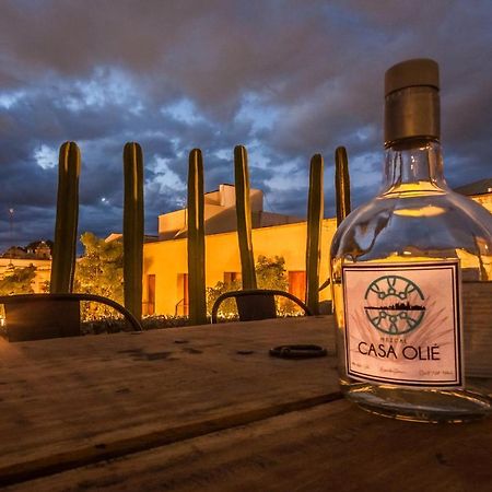 Casa Olie Ξενοδοχείο Oaxaca Εξωτερικό φωτογραφία